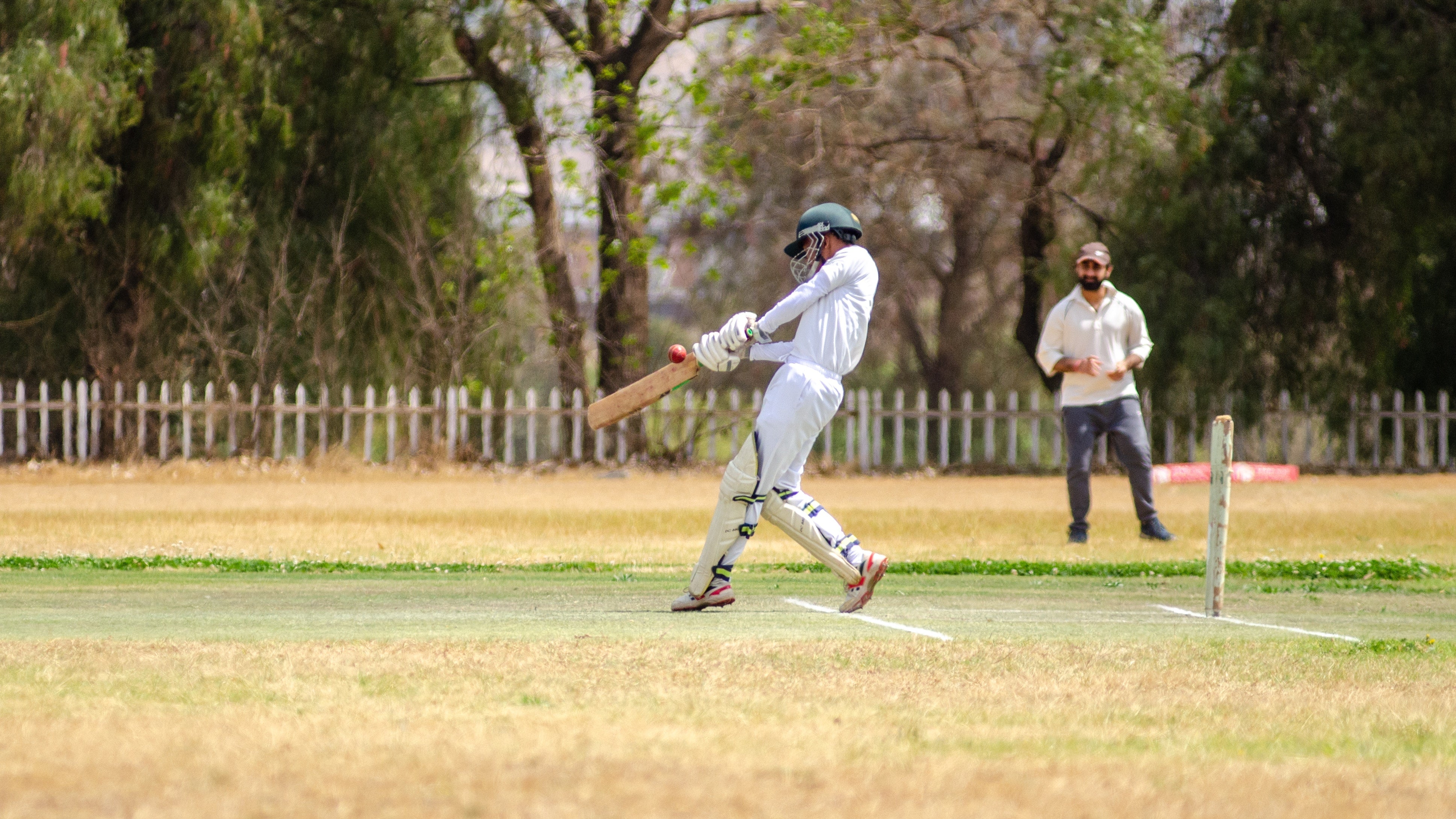 How to Buy a Cricket Bat Online: The Complete Guide
