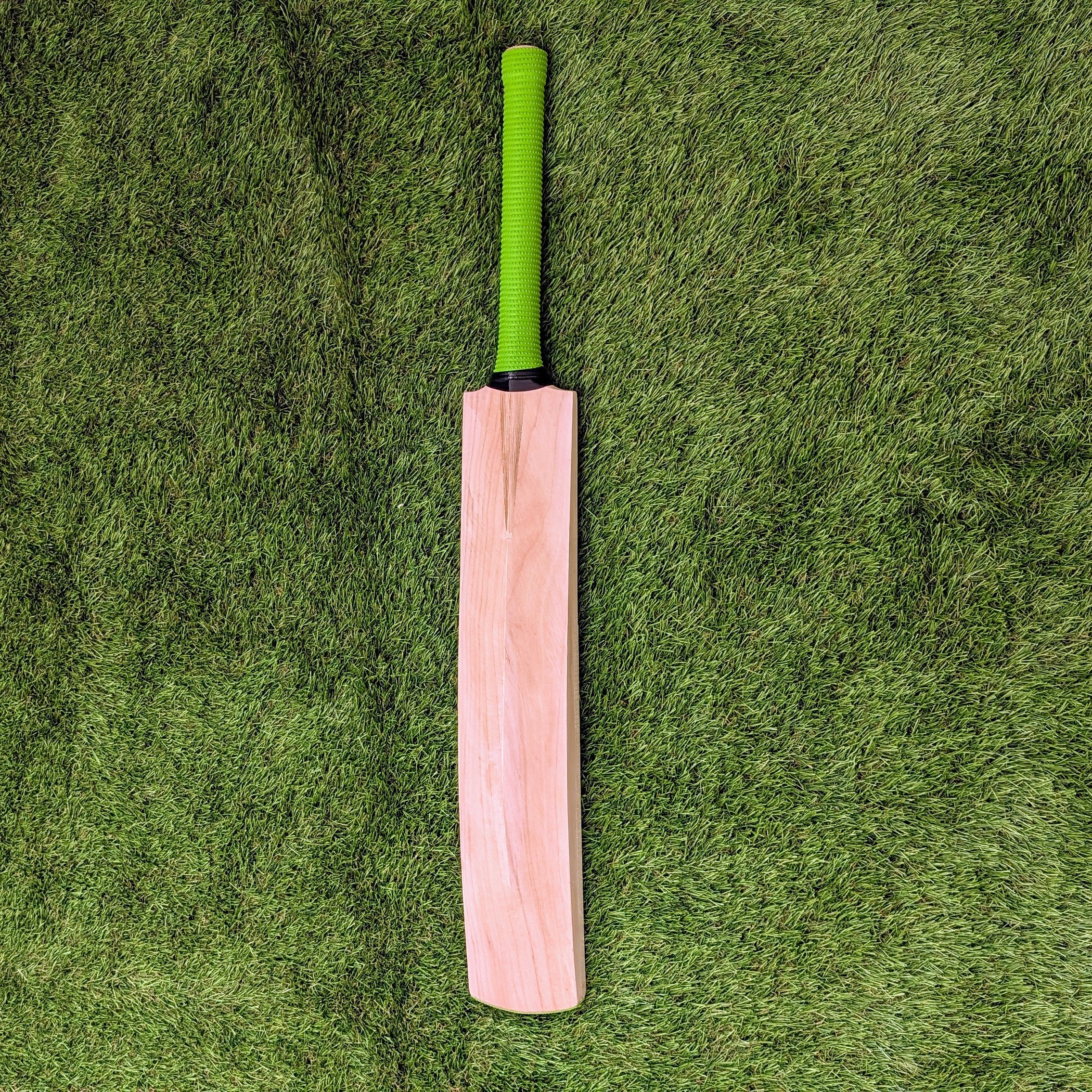 Plain Cricket Bat (Short Handle)