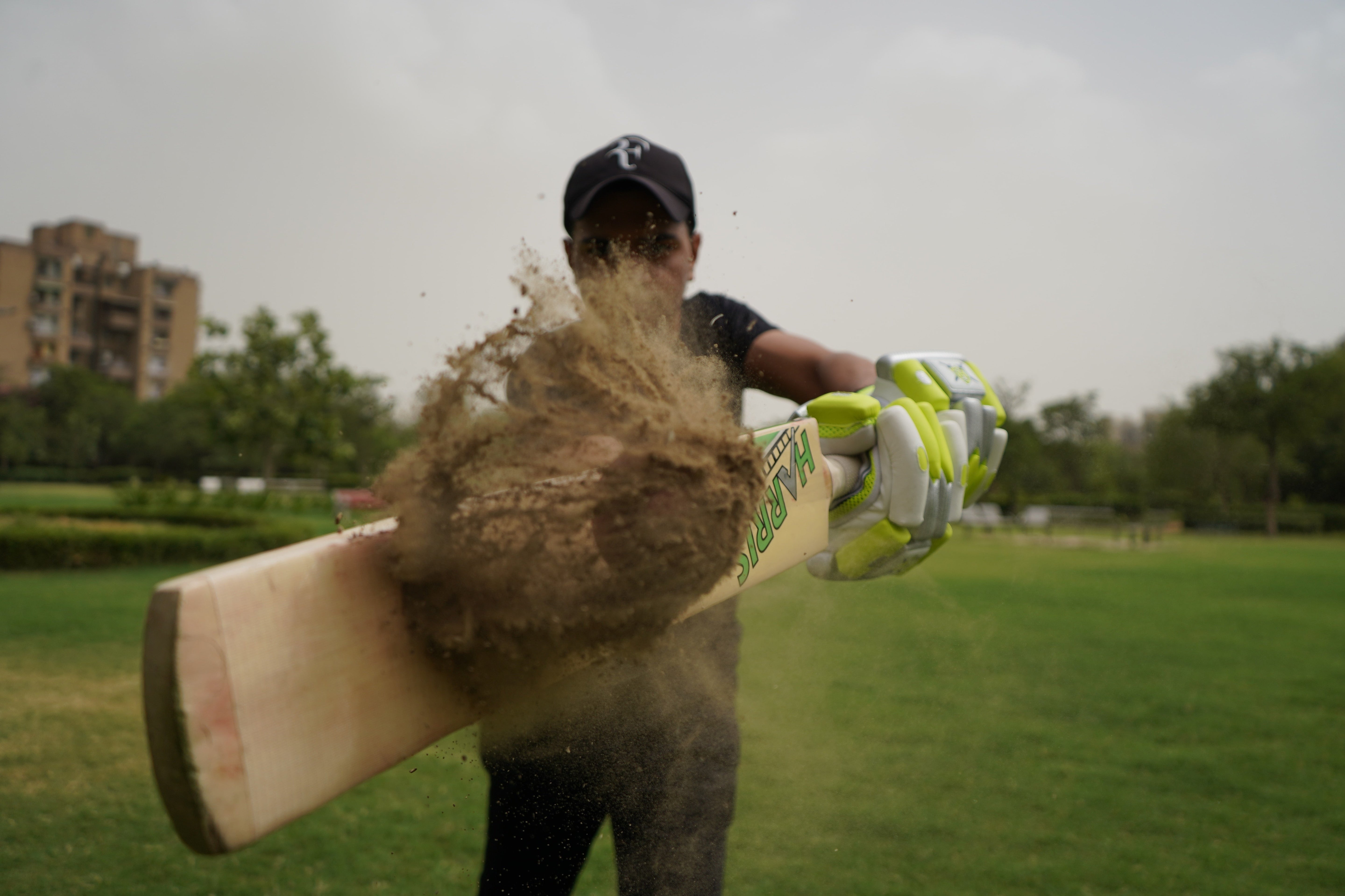 Cricket Bat Care Guide: Everything You Need To Know