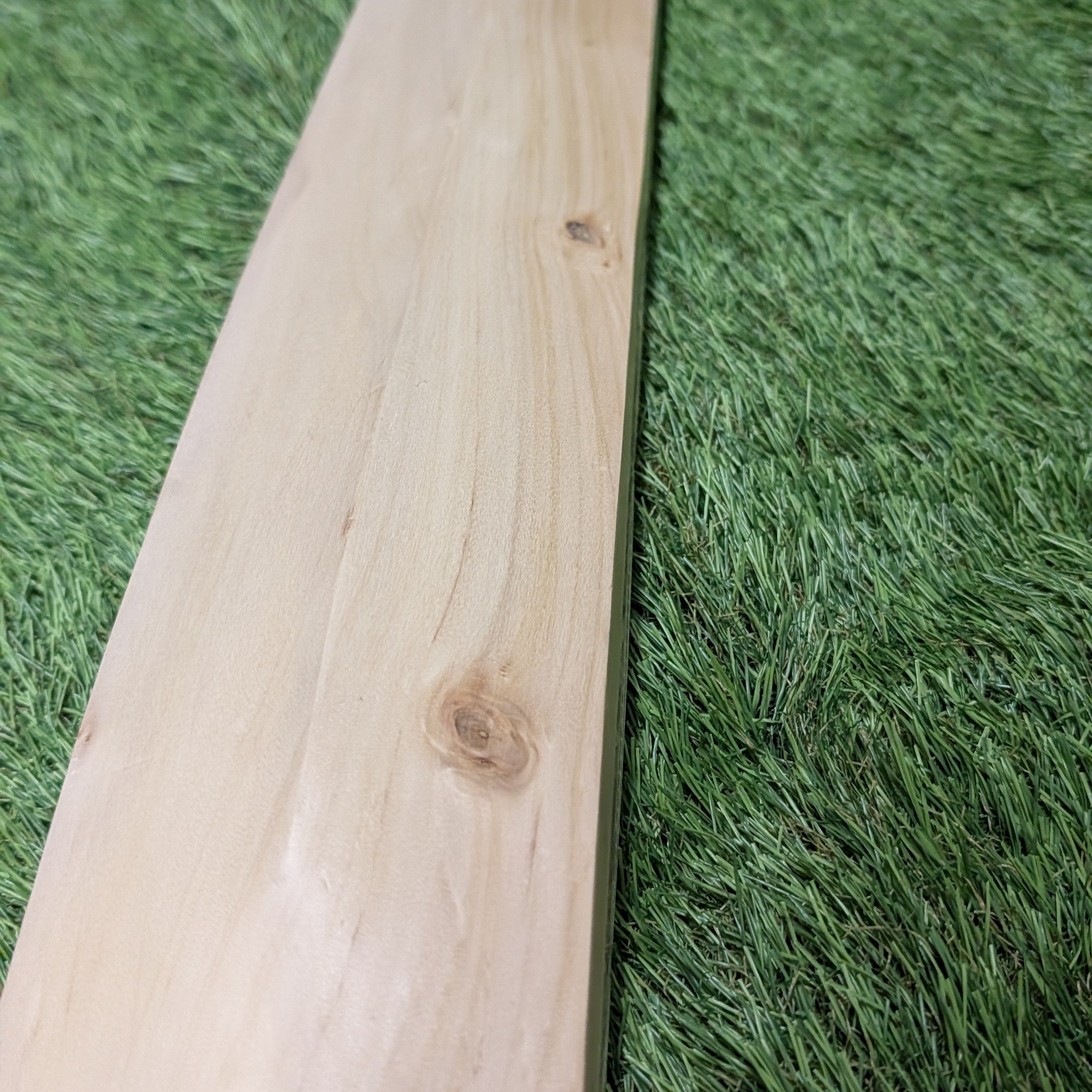 Warehouse Sale - Adult Bat (Imperfections)